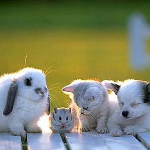 Meet your Posher, Elise